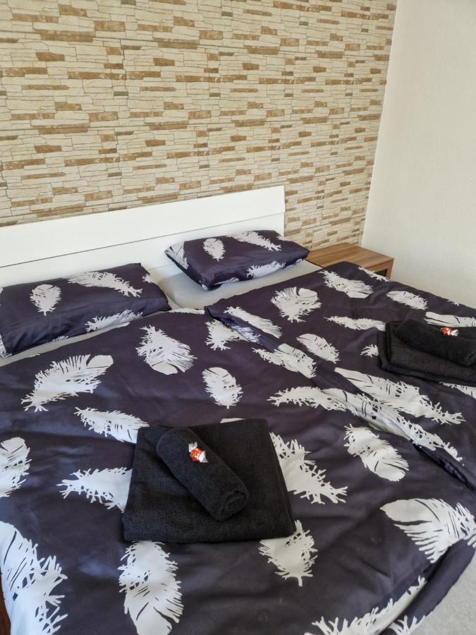 Bodensee Ganze Ferienwohnung In 4-zimmer Apartment Friedrichshafen